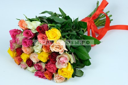Розы Кения микс купить в Москве недорого